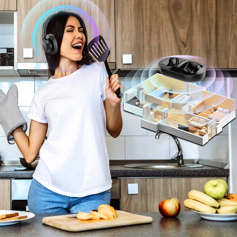 Holdsound BKM500 TV Headphones